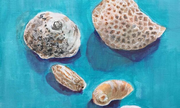 Coquillages sur fond bleu