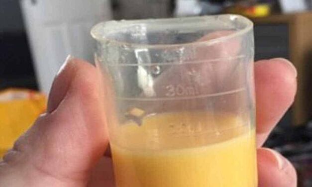 Colostrum : l’or liquide