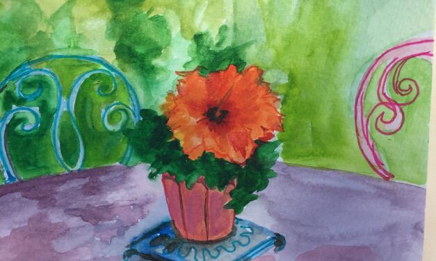 Hibiscus