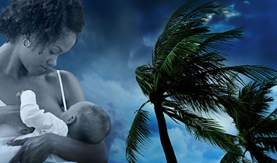 L'allaitement en situation de crise - Claude Didierjean-Jouveau -  Naissance, allaitement, maternage, parentalité, éducation
