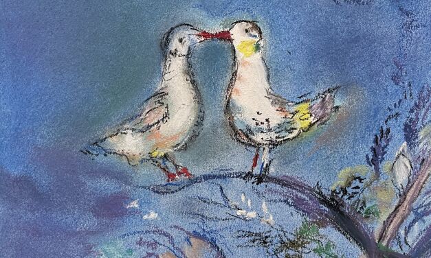 Les deux pigeons