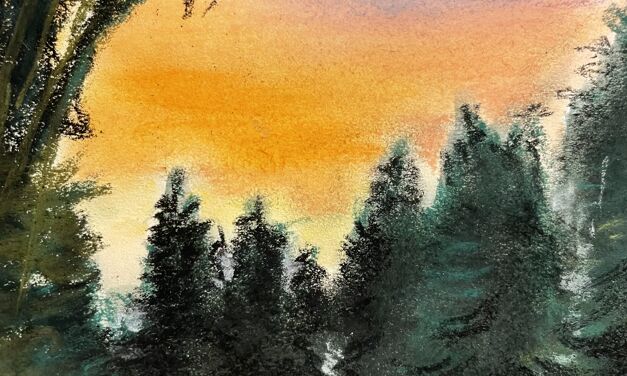 Coucher de soleil dans la forêt vosgienne