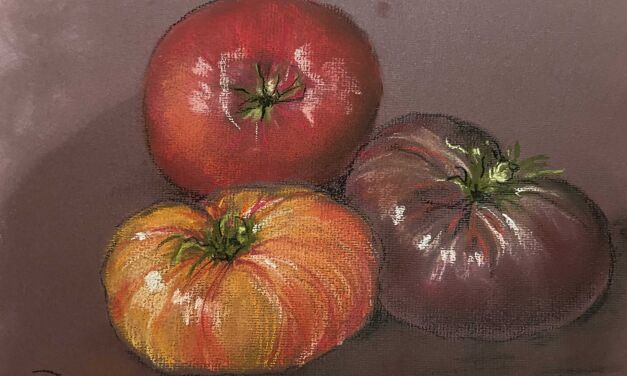 Tomates anciennes