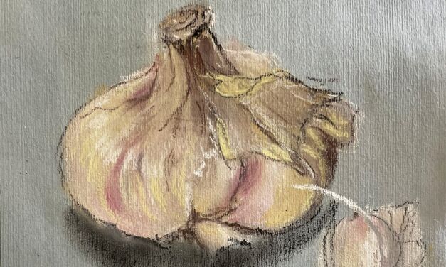 Tête et gousse
