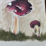 Russules