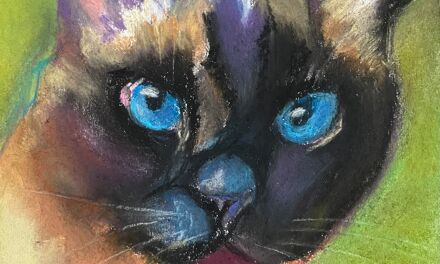 Chat numéro 2
