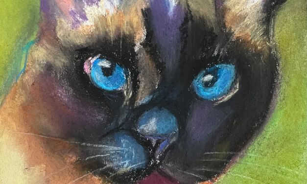 Chat numéro 2