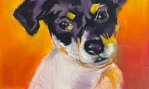 Chien numéro 1