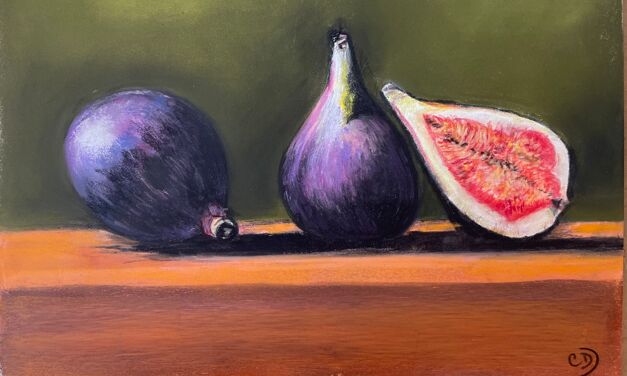 Figues bis